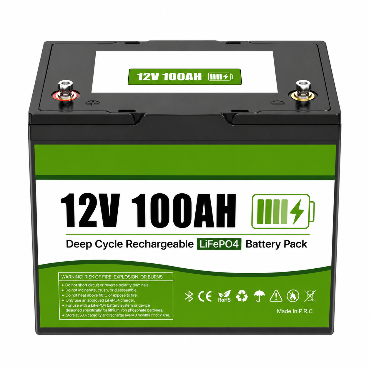 LifePo4 100Ah batteri BT - Bild 2